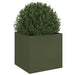 Planter in Olive Green (49 x 47 x 46cm) - Little and Giant Explorers vidaXL