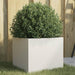 Planter in White (32 x 30 x 29cm) - Little and Giant Explorers vidaXL