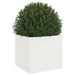 Planter in White (32 x 30 x 29cm) - Little and Giant Explorers vidaXL