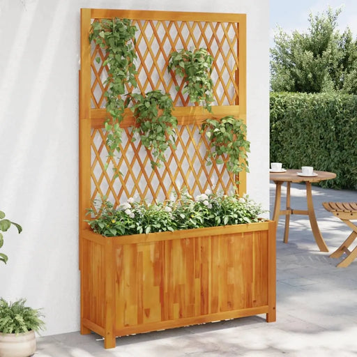 Planter with Trellis in Solid Wood Acacia (100 x 32 x 165cm) - Little and Giant Explorers vidaXL