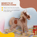 Plush Rocking Horse with Handle Grip and Footrest in Brown - Little and Giant Explorers HOMCOM