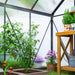 Walk-in Polycarbonate Greenhouse in Grey (190 x 190cm) - Little and Giant Explorers Outsunny