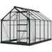 6 x 10FT Large Walk-in Polycarbonate Greenhouse in Grey - Little and Giant Explorers Outsunny