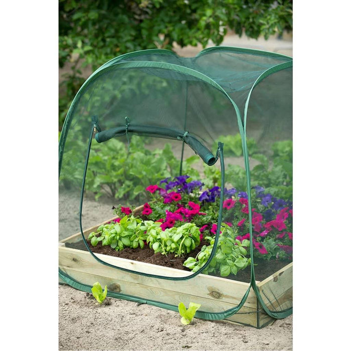 Pop up Greenhouse (100 x 100 x 100cm) - Little and Giant Explorers Nature