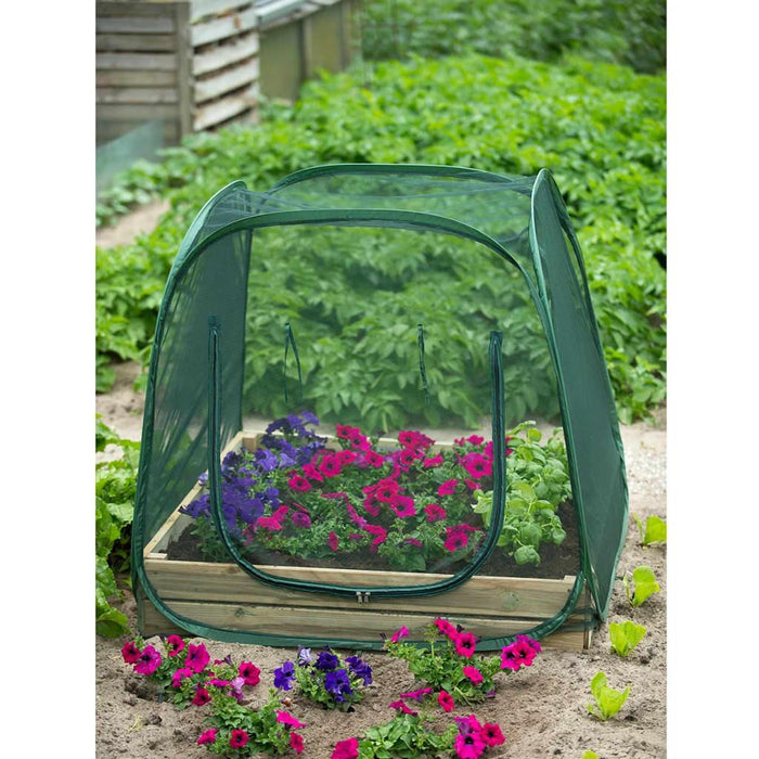 Pop up Greenhouse (100 x 100 x 100cm) - Little and Giant Explorers Nature