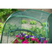 Pop up Greenhouse (100 x 100 x 100cm) - Little and Giant Explorers Nature