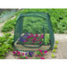 Pop up Greenhouse (100 x 100 x 100cm) - Little and Giant Explorers Nature