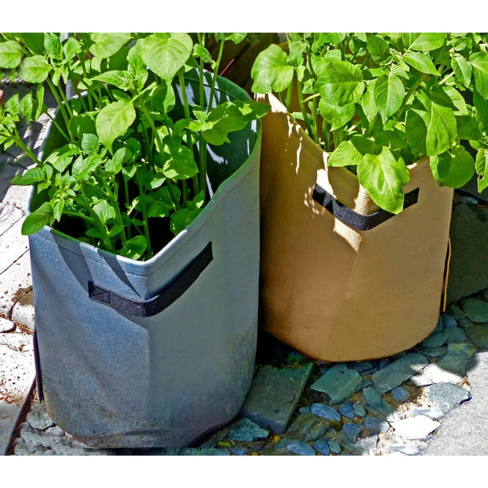 Potato Grow Bag in Anthracite 37 L - Little and Giant Explorers Nature