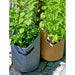 Potato Grow Bag in Anthracite 37 L - Little and Giant Explorers Nature