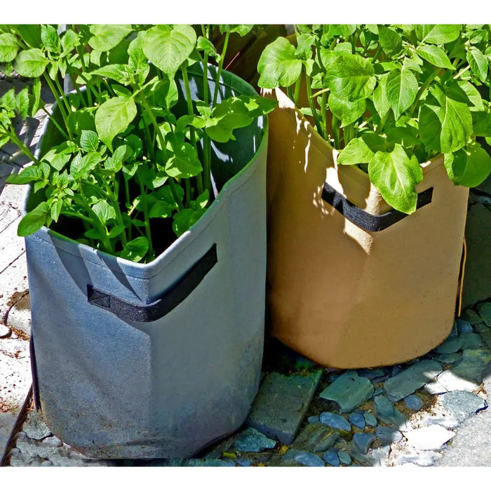 Potato Grow Bag in Beige 37 L - Little and Giant Explorers Nature