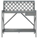 Potting Bench with Trellis in Grey and Solid Wood Fir - Little and Giant Explorers vidaXL