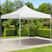 Professional Folding Party Tent in White and Aluminium (2 x 2m) - Little and Giant Explorers vidaXL