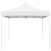 Professional Folding Party Tent in White and Aluminium (2 x 2m) - Little and Giant Explorers vidaXL