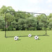 Professional football rebounder net with three soccer balls on grass field outdoors