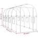 PVC & Powder-Coated Steel Transparent Greenhouse (160 x 400 x 190cm) - Little and Giant Explorers vidaXL