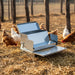 Metal automatic chicken feeder with scattered feed surrounded by hens in outdoor pen with straw