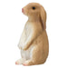 Rabbit Sitting Toy - Realistic Small Animal Figurine | Educational Wildlife Play MOJO FUN - Little and Giant Explorers Mojo Fun