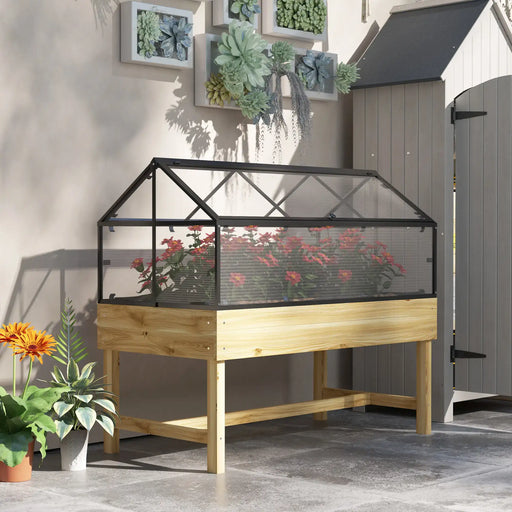 Raised wooden garden bed with transparent black polycarbonate greenhouse roof and red flowers indoors