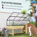 Elevated wooden garden bed with transparent polycarbonate cold frame housing pink and white flowers, man watering plants nearby