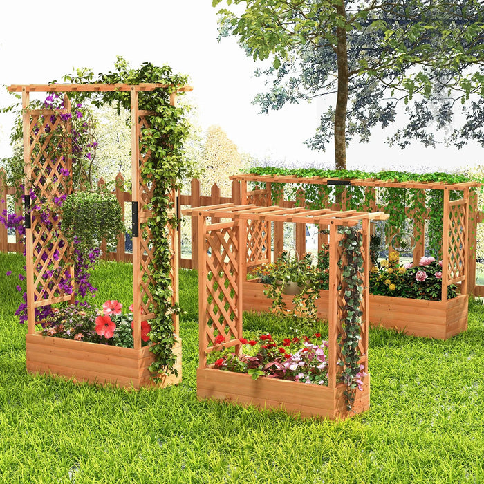 Wooden raised garden beds with trellis and climbing plants in a sunny outdoor backyard setting