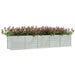 Rectangular galvanized steel garden raised bed filled with blooming pink flowers