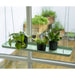 Rectangular Hanging Plant Tray in Green | Large - Little and Giant Explorers Esschert Design