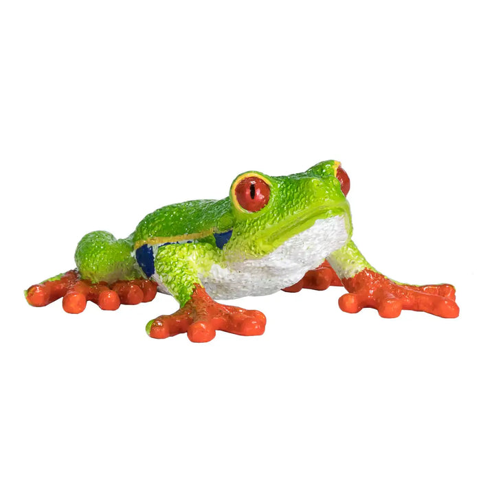 Red-Eyed Tree Frog Toy - Realistic Rainforest Amphibian Figure | Educational Amphibian Model MOJO FUN - Little and Giant Explorers Mojo Fun