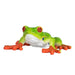 Red-Eyed Tree Frog Toy - Realistic Rainforest Amphibian Figure | Educational Amphibian Model MOJO FUN - Little and Giant Explorers Mojo Fun