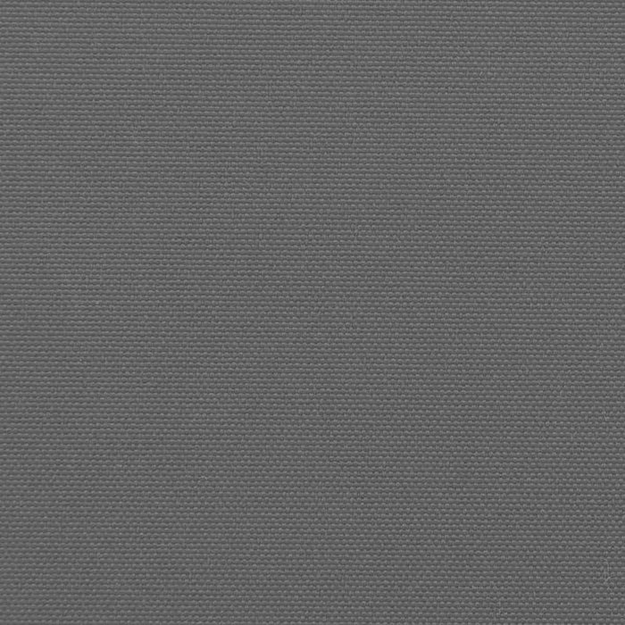 Retractable Side Awning – Anthracite | 100 × 300cm - Wall-Mounted Privacy Screen VIDAXL - Little and Giant Explorers vidaXL