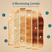 Diagram showing six browning levels of toast with descriptive text.