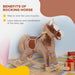 Brown plush rocking horse for kids indoors, highlighting developmental and balance benefits.