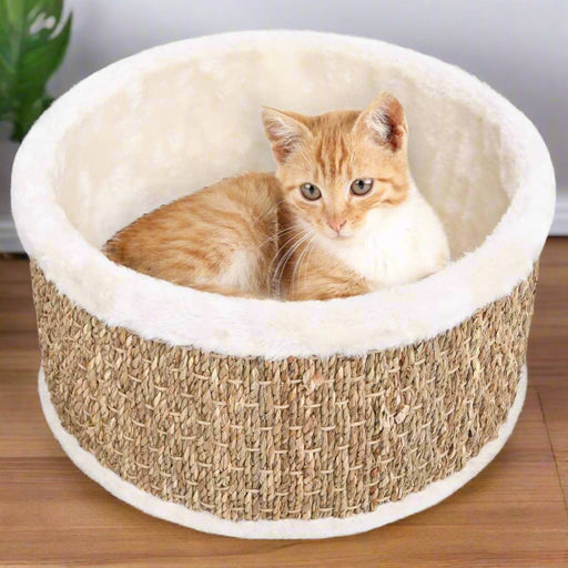 Round Cat Basket in Seagrass - Little and Giant Explorers vidaXL