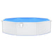 Round Swimming Pool with Steel Wall in White (550 x 120cm) - Little and Giant Explorers vidaXL