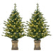 Set of 2 4ft Pre-Lit Artificial Christmas Trees | 100 LED Lights and Vintage Pots HOMCOM - Little and Giant Explorers HOMCOM
