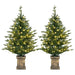 Set of 2 4ft Pre-Lit Artificial Christmas Trees | 100 LED Lights and Vintage Pots HOMCOM - Little and Giant Explorers HOMCOM