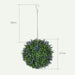 Hanging plant ball with dimensions on a white background