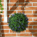 Hanging basket with green foliage and purple flowers against a brick wall