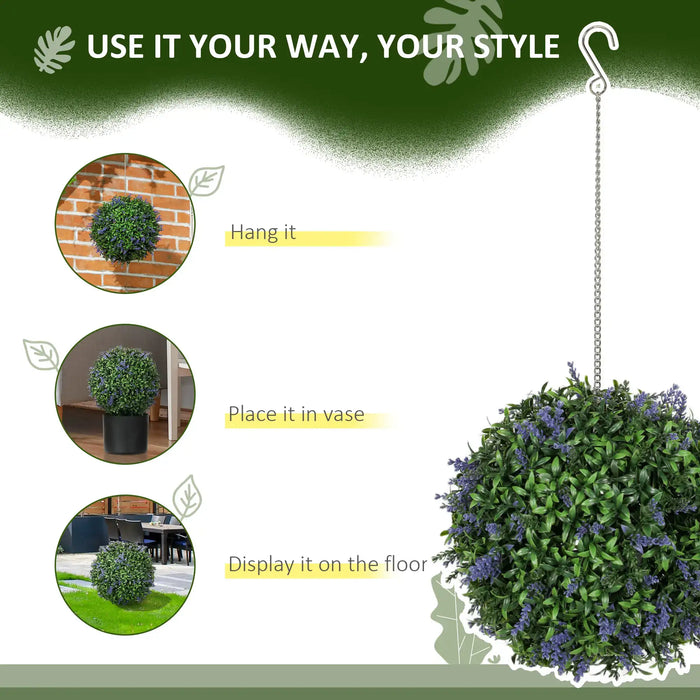 Hanging plant with usage instructions on a green and white background