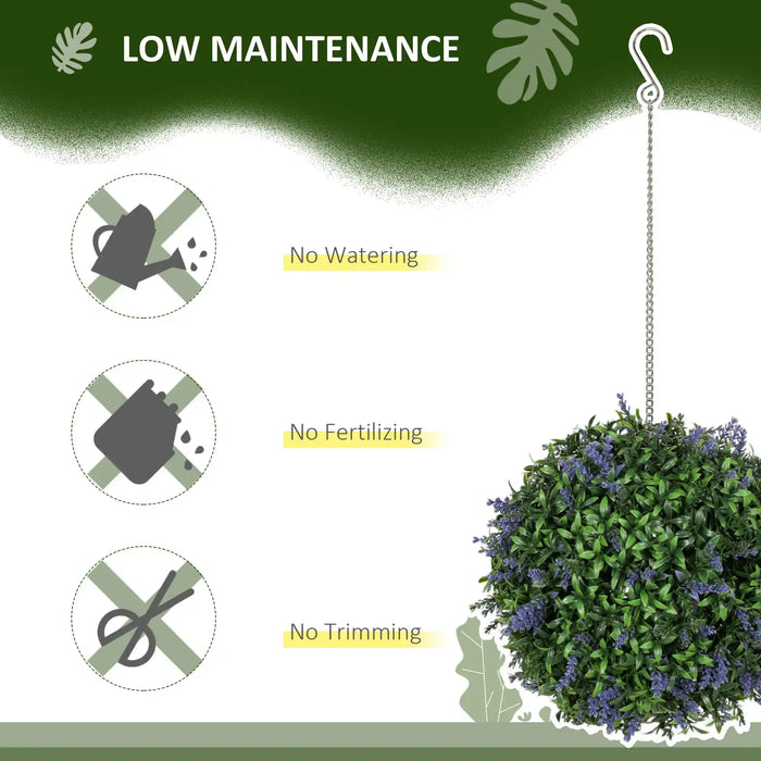 Hanging plant with 'Low Maintenance' features on a green and white background