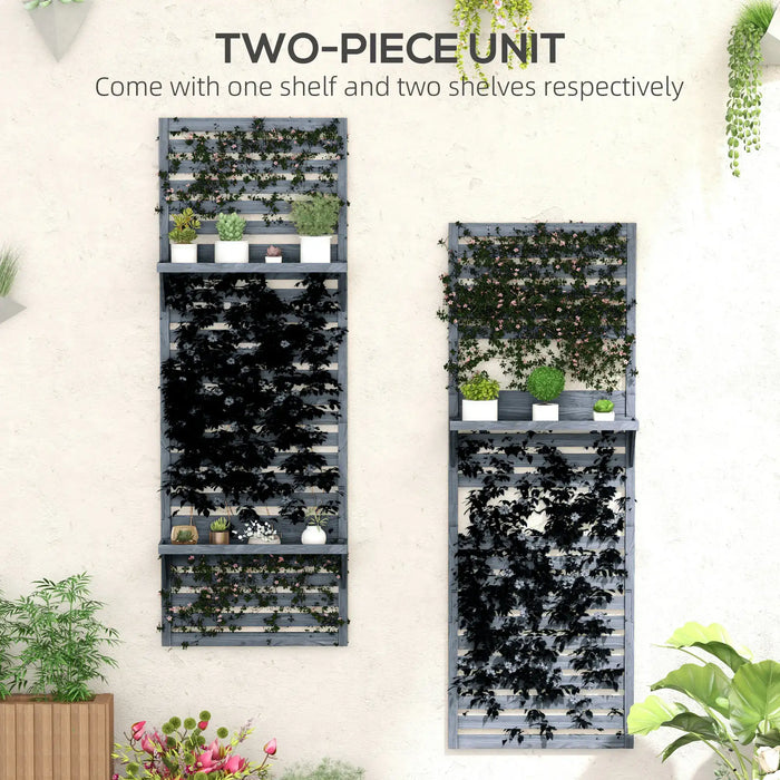 Two-piece set of grey wooden wall-mounted plant stands with trellis and shelves, decorated with potted plants and climbing vines