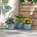 Set of three blue stackable ribbed plastic plant pots with green and yellow flowering indoor and outdoor plants