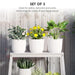 Set of 3 white stackable plastic plant pots with green and yellow indoor plants on white shelf
