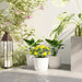 Set of three white stackable plastic plant pots with green plants and yellow flowers on patio