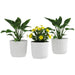 Set of three white stackable plastic plant pots containing green foliage plants and yellow flowers for indoor/outdoor use