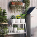 White stackable planters with green and yellow plants on a white wooden potting bench outdoors