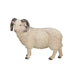 Sheep Ram Toy - Realistic Farm Animal Model | Educational Wildlife Figurine MOJO FUN - Little and Giant Explorers Mojo Fun