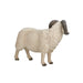 Sheep Ram Toy - Realistic Farm Animal Model | Educational Wildlife Figurine MOJO FUN - Little and Giant Explorers Mojo Fun