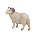 Sheep Ram Toy - Realistic Farm Animal Model | Educational Wildlife Figurine MOJO FUN - Little and Giant Explorers Mojo Fun