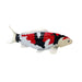 Showa Sanshoku Koi Carp Toy - Realistic Fish Model | Educational Pond Figurine MOJO FUN - Little and Giant Explorers Mojo Fun