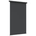 Black side awning 165x250cm with self-locking function, dual mount, plain background